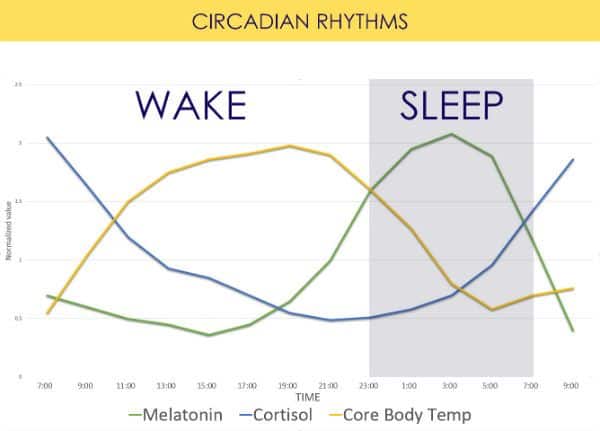 circadian-hormones